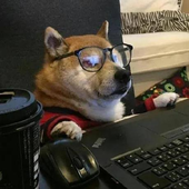 Avatar for zzzzzach