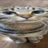 Avatar for Cikilolek