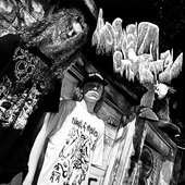 Basement Castration