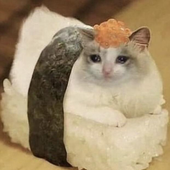 silvermagexx için avatar
