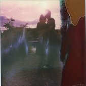 Polaroid