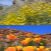 Return to Ojai