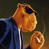 Avatar for JoeCamel
