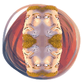 Avatar for TheMoark