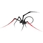 Little Spider