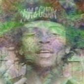 Avatar for Willie_Nelson