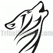 Avatar for MrWolfed