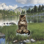 Avatar für zaraxb22