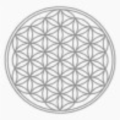 Avatar for moetool