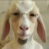 Avatar for athekrea