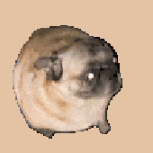 Avatar for math_fx
