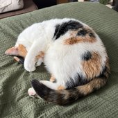 ​​