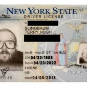 slingbaum.jpg