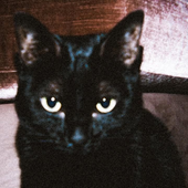 Avatar for Jadsongab
