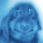 Avatar di philipivers