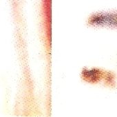 None