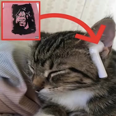 Avatar for nxghtyy