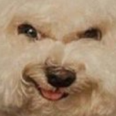 Avatar di DannyITZY