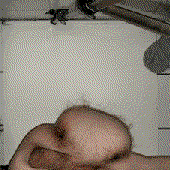 Avatar für leftyspank