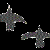 Avatar for martiko2d