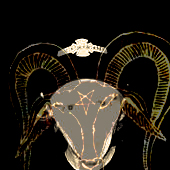 Avatar for odoom