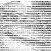 Avatar für MMK229