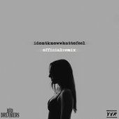 I Don't Know What to Feel (The Bad Dreamers Remix)