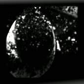 Avatar for zkultra