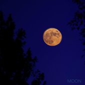 Moon - Single