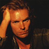 STING.jpg