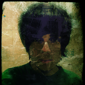 Avatar for inunsafearms