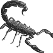 Avatar di scorpion_wen