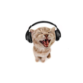 gggretch için avatar
