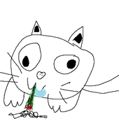 Avatar for oce0n