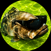 Avatar for mberkays
