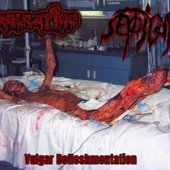 Vulgar Defleshmentation