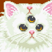 Avatar for ponyfaced