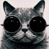 Avatar for jumbastic