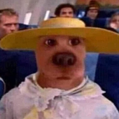 Avatar di Mundinhoabner