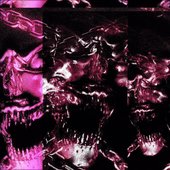 Recluse
