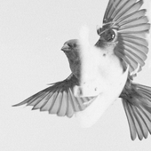 Avatar for activepoetry