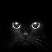 Avatar for SaTynne80