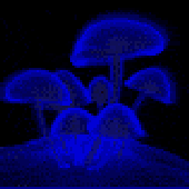 Avatar for OU812_JT