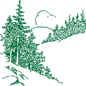 Avatar for dylankf