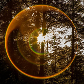 Avatar für starrpark