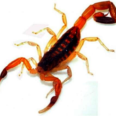 Avatar di franad89