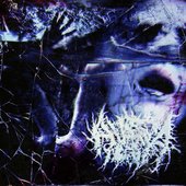 Shattered Reflection