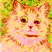 Avatar di mxxbock