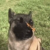 Avatar for NachoMelomano