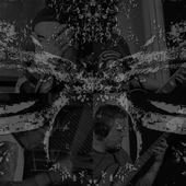 dxm-av.png